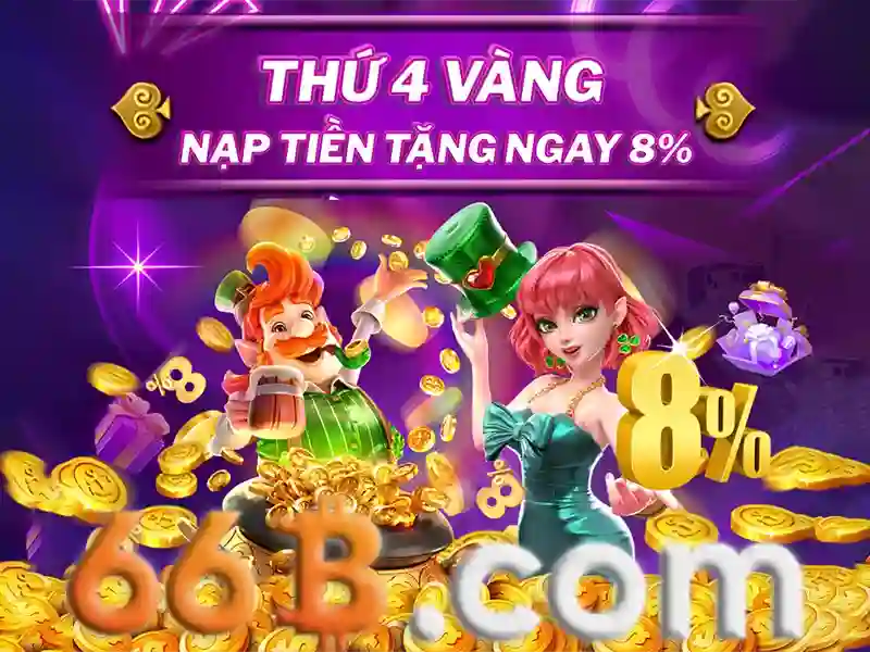 mậu binh 66b – Nguồn gốc và sứ mệnh