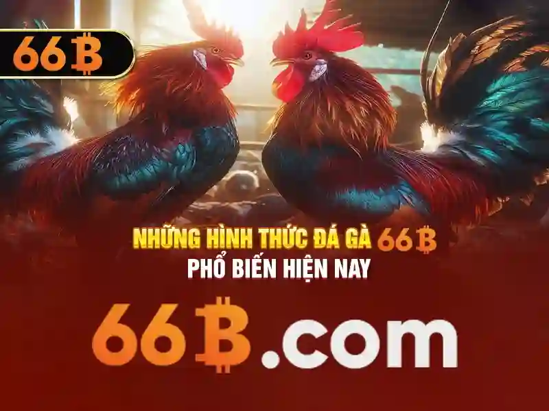 Giao diện nhà cái hoàn hảo