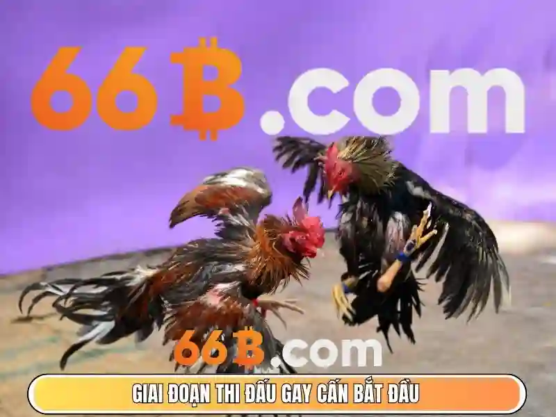 chơi 66b có bị bắt không – Nguồn gốc và sứ mệnh