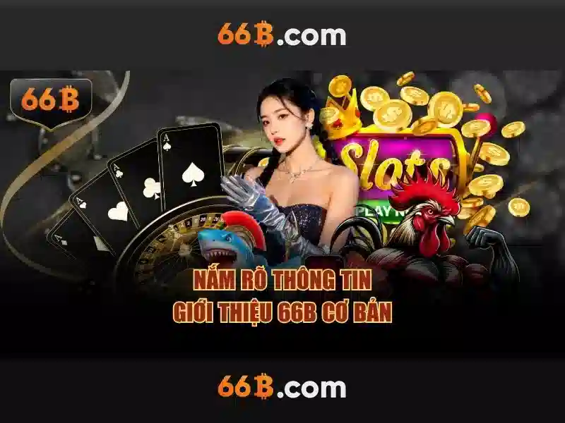 66b hoàn tiền – chủ đề & giá trị cốt lõi