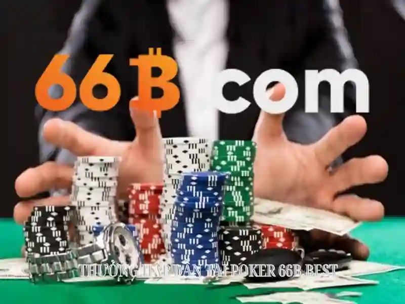 liên hệ 66b – Giới thiệu đầy cảm hứng và sứ mệnh