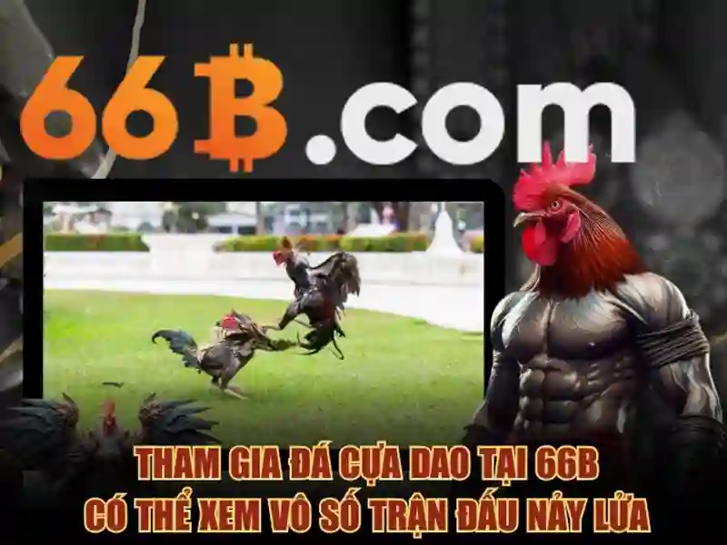 66b nguyễn si sách – tổng quan chủ đề và giá trị cốt lõi