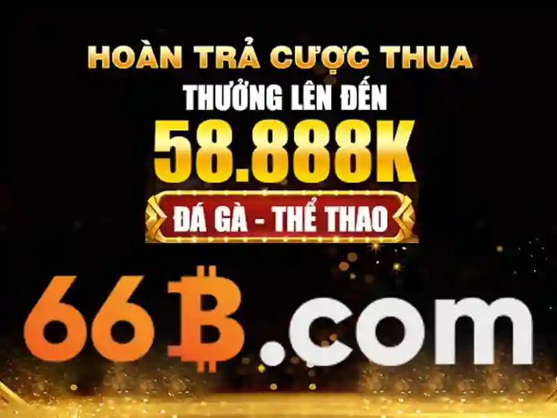 Các bài đánh giá và phản hồi từ cộng đồng